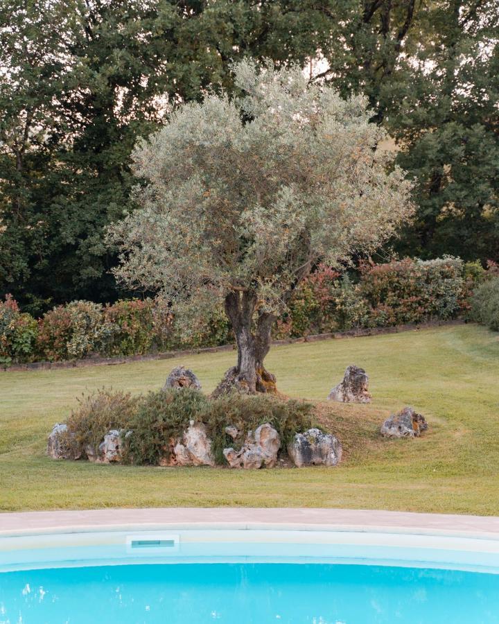 פופי Podere Cerretino מראה חיצוני תמונה
